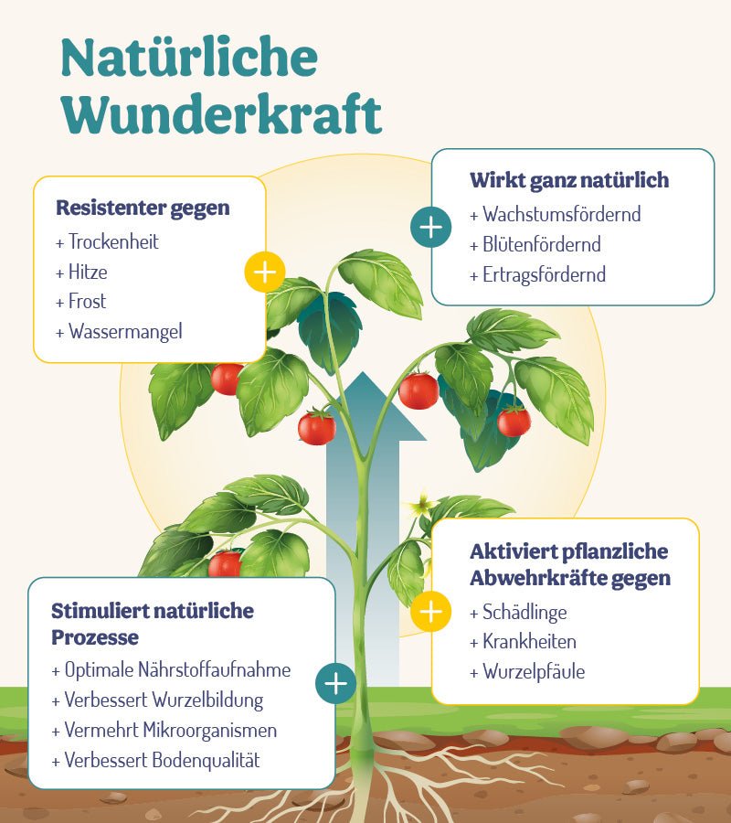 Das Garten - Wunder - Duo: PflanzenWunder & BodenWunder - deNatura