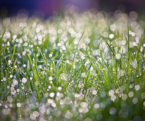 Erfahrungsbericht – Michaela G. aus Pfaffing - deNatura