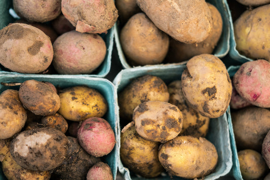 Kartoffelanbau zwischen Rekordernte und Preisverfall – warum Nachhaltigkeit jetzt entscheidend ist - deNatura