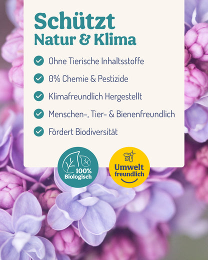 PflanzenWunder – jetzt im Vorteilspaket mit Sprühflasche! - deNatura