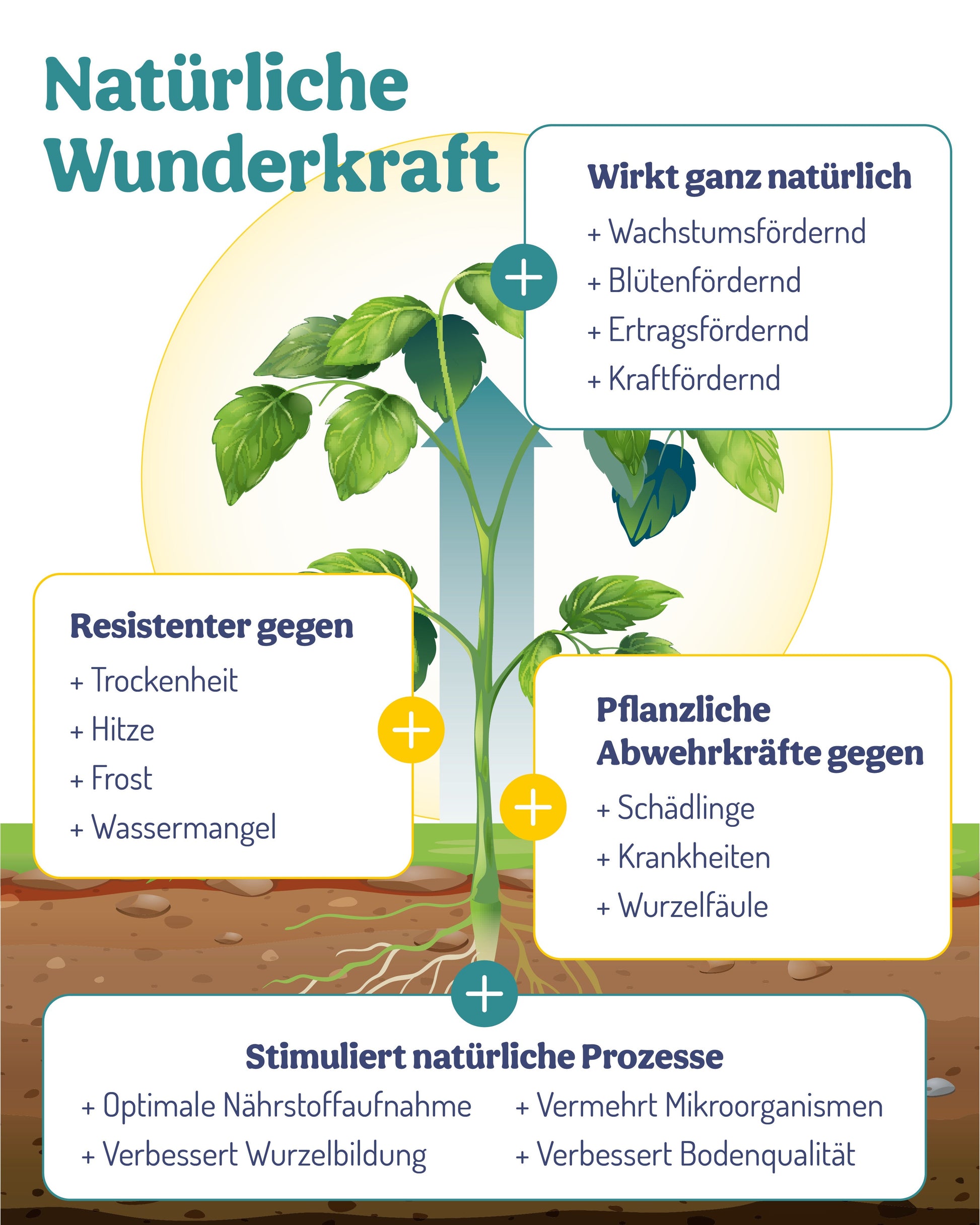 PflanzenWunder – jetzt im Vorteilspaket mit Sprühflasche! - deNatura