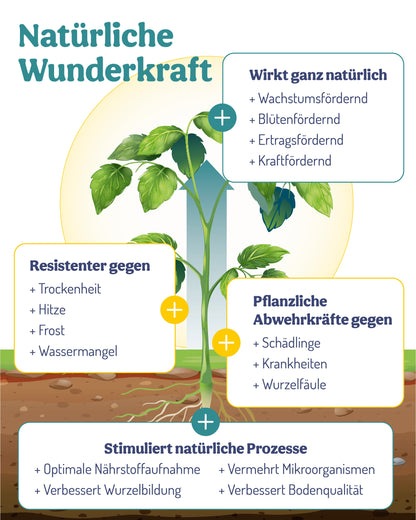 PflanzenWunder – jetzt im Vorteilspaket mit Sprühflasche! - deNatura