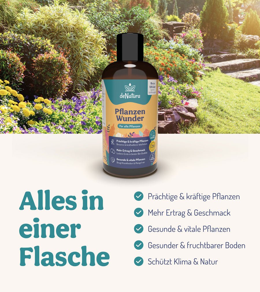 Video laden: 🌱 deNatura Pflanzenwunder und Entstehungsgeschichte